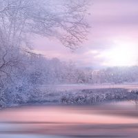 Online-Seminar "Wahrnehmung und Medialität"